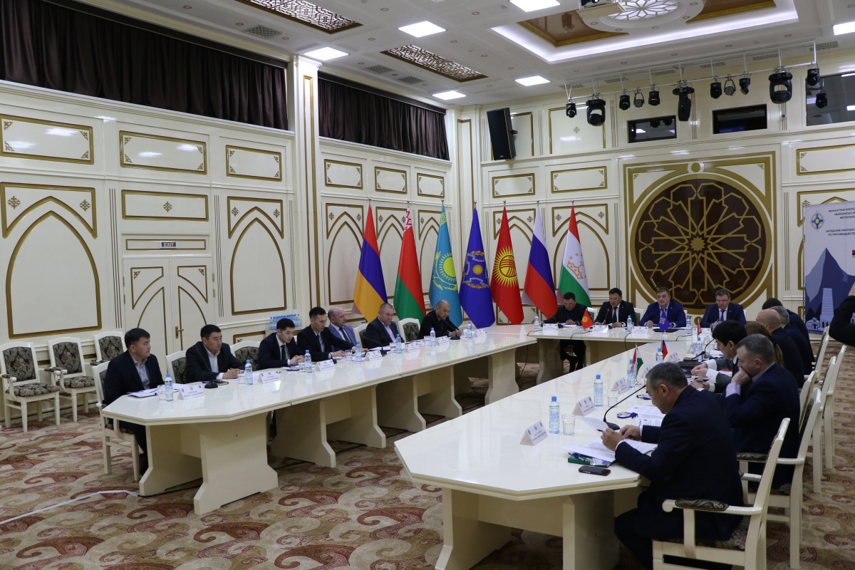 Состоялось заседание Рабочей группы Координационного совета руководителей компетентных органов по противодействию незаконному обороту наркотиков государств – членов ОДКБ